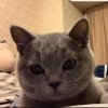 阿錘帶來了甜甜圈