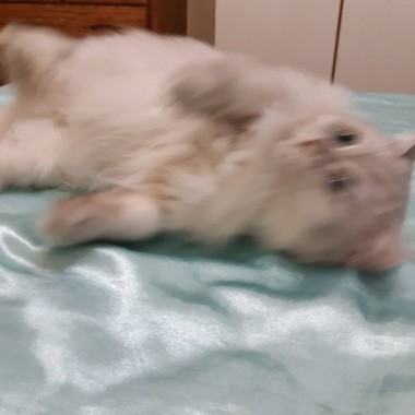 如夢初醒