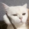 村姑萬歲