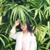 Cindy 梁佩金