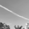 Aq_0722