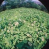 can you see...