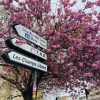 les_champs
