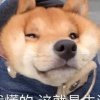叉烧包