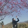 cold_wind_ccc