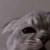 cookie.1020