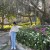 pinan_chao