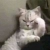 cool_dream_w7w