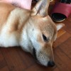 拖拖拖拖拖