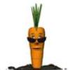 coolcarrot