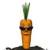 coolcarrot