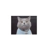 coralululu