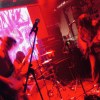 crazygrasses
