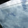 葉啟君
