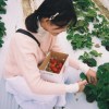 小圓