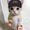 說好的