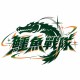 鱷魚戰隊crocodile