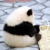 慢点死