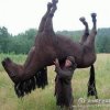 伊万