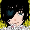 cuckoo_huang