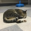 飄呀飄