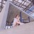 cynthia_wang