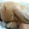 保存