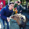 金勻可可