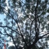 陪你一起老