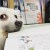 da_xuan_qiu