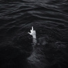 daffodil_1116