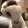 jinyu.