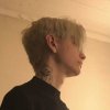 标准共犯