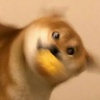 张震岳的胡子