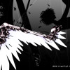 daisonwang