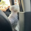 daisymay_070419
