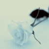 Micer