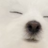 沛哥的沛