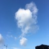 错别字大王