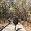 沒有音樂像脫水の人