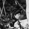 Dan
