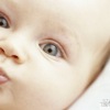 daphin178
