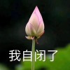 三公主的新欢