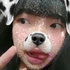 蚊子🦟