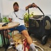 逐浪者