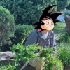 DashnGoku