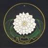 曼荼華 Datura