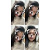 zpuuije6