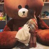 ヤユヨ