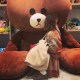 ヤユヨ